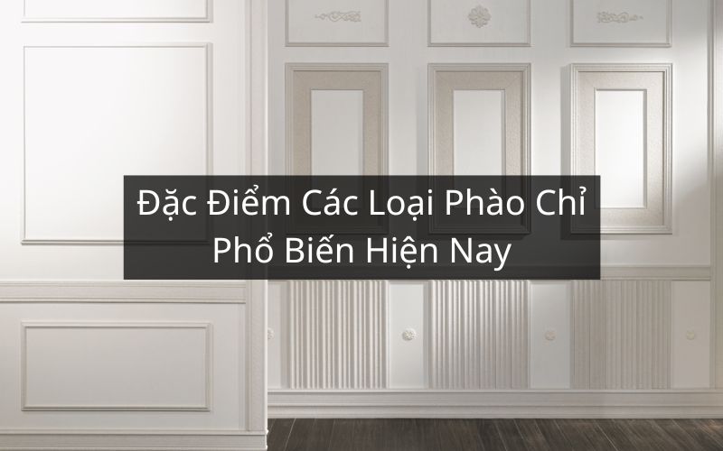 Tìm Hiểu Đặc Điểm Các Loại Phào Chỉ Phổ Biến Nhất Trên Thị Trường Hiện Nay