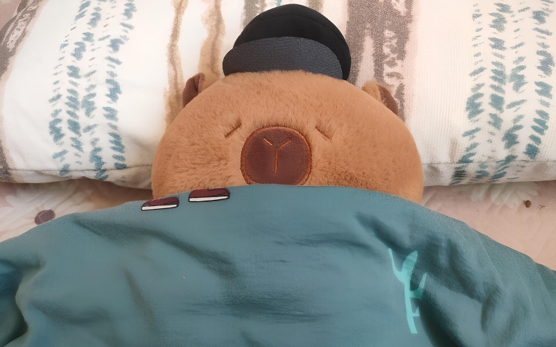 Chăn ga gối nệm